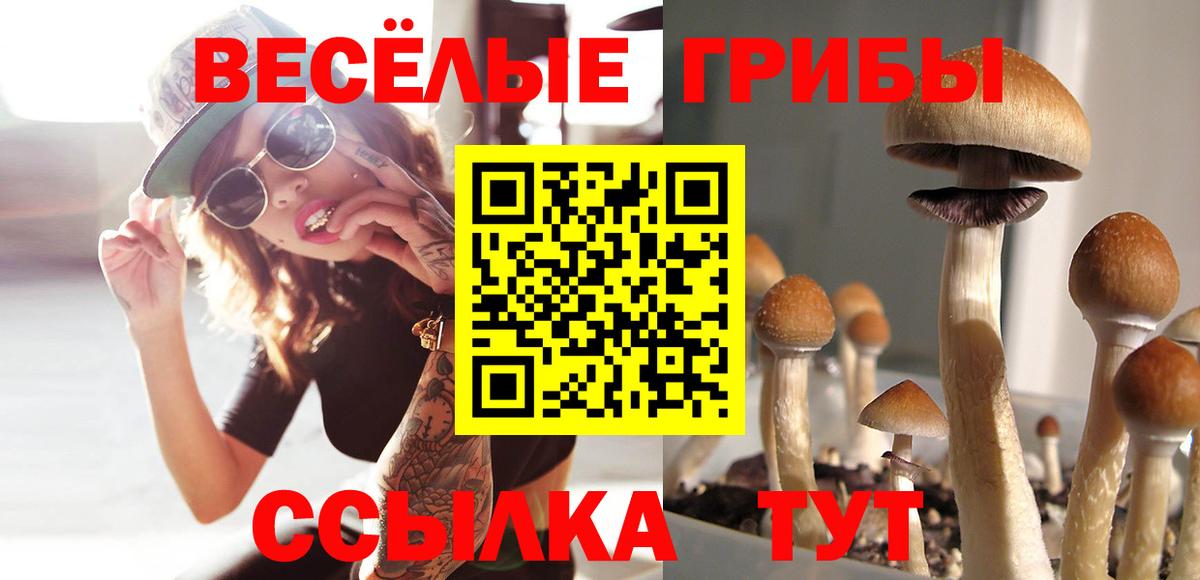 Донецк  Галлюциногенные грибы Psilocybine cubensis  как найти закладки  Вход с VPN 